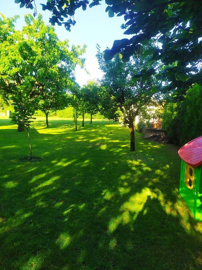 Maison d’hôte pour 3 personnes, avec jardin et vue dans Палић - 4