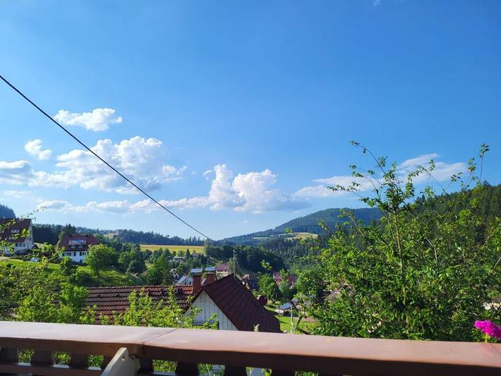 Ferienhaus für 4 Personen, mit Ausblick und Balkon, kinderfreundlich in Baiersbronn - 4