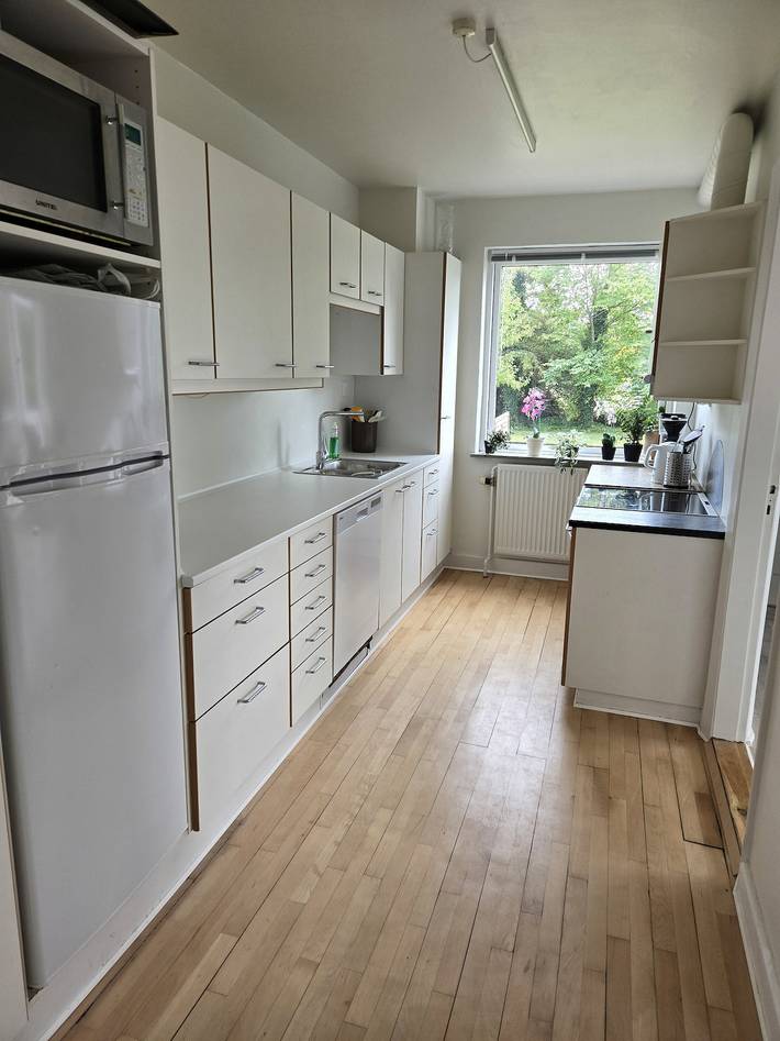 Villa für 8 Personen, mit Balkon und Ausblick sowie Garten auf Seeland - 3