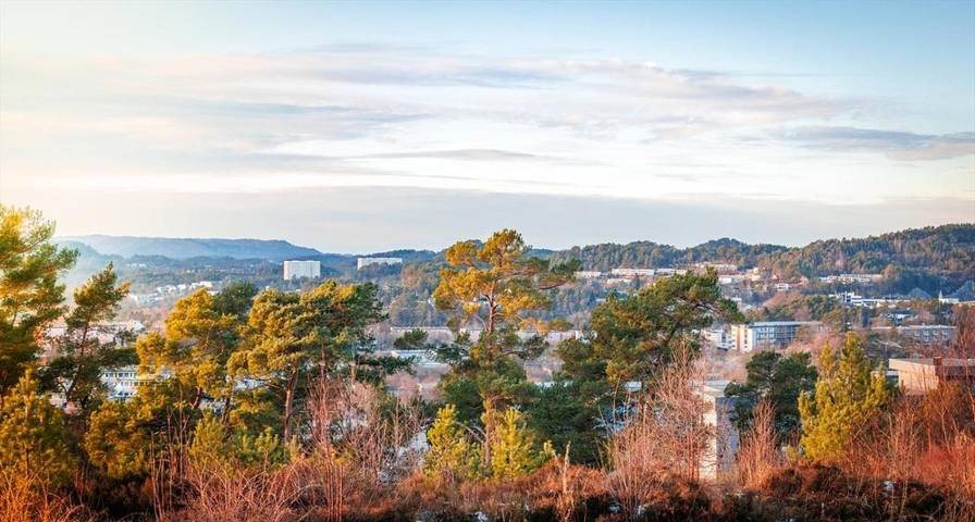 Ferienhaus für 5 Personen, mit Ausblick und Terrasse sowie Garten in Bergen - 3