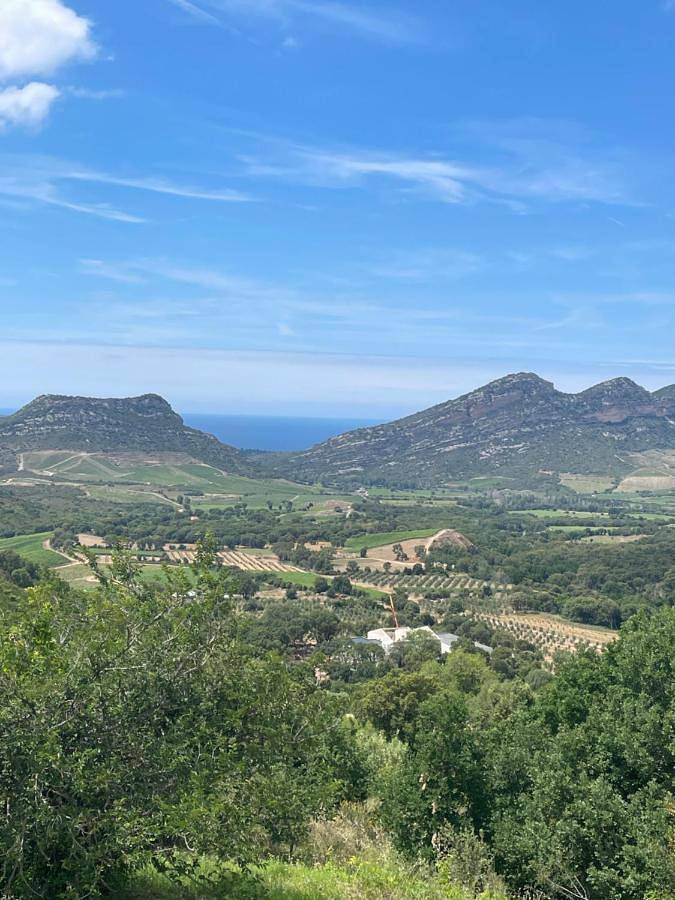 Deluxe Room in Poggio-d'Oletta, Région de Calvi