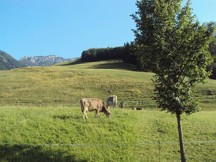 Gîte pour 4 personnes, avec jardin ainsi que terrasse et vue, adapté aux familles à Walchsee - 3