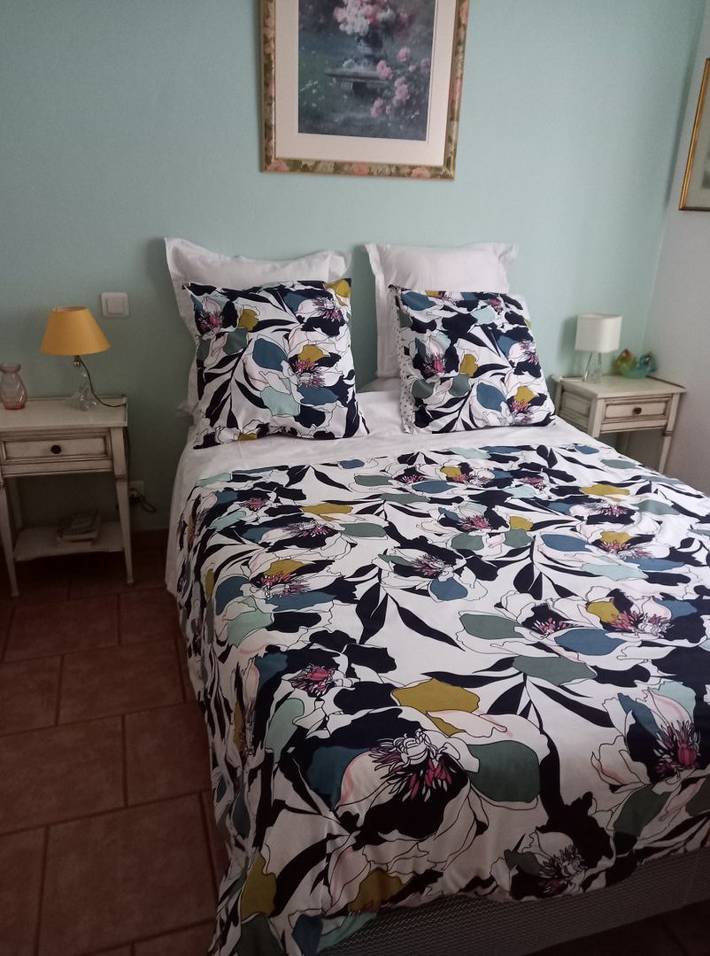 Chambre d’hôte pour 2 personnes, avec Jardin à Vienne (France) - 4