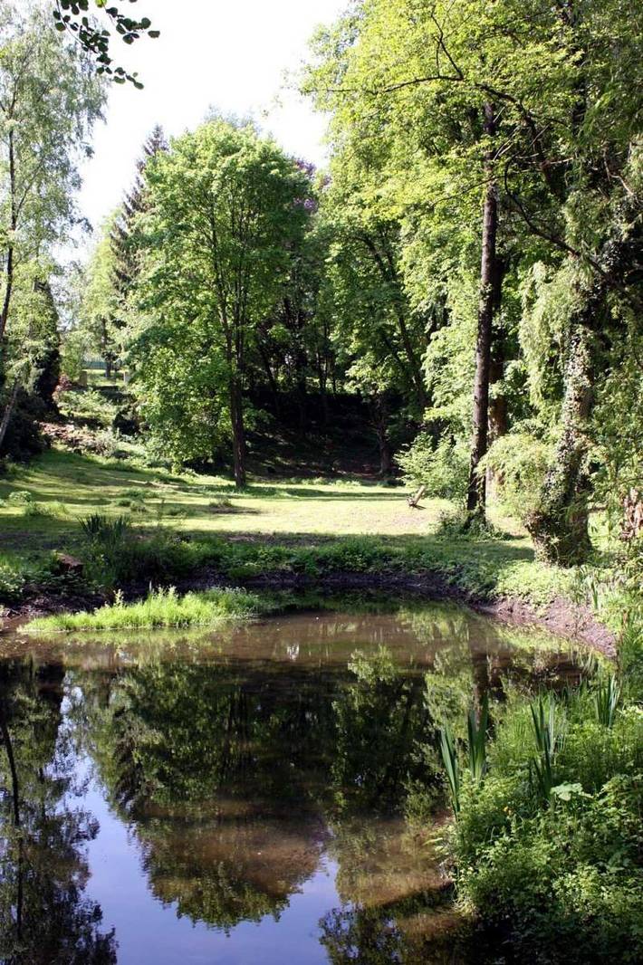 Ferienwohnung für 4 Personen, mit Garten und Terrasse in Walkenried - 2
