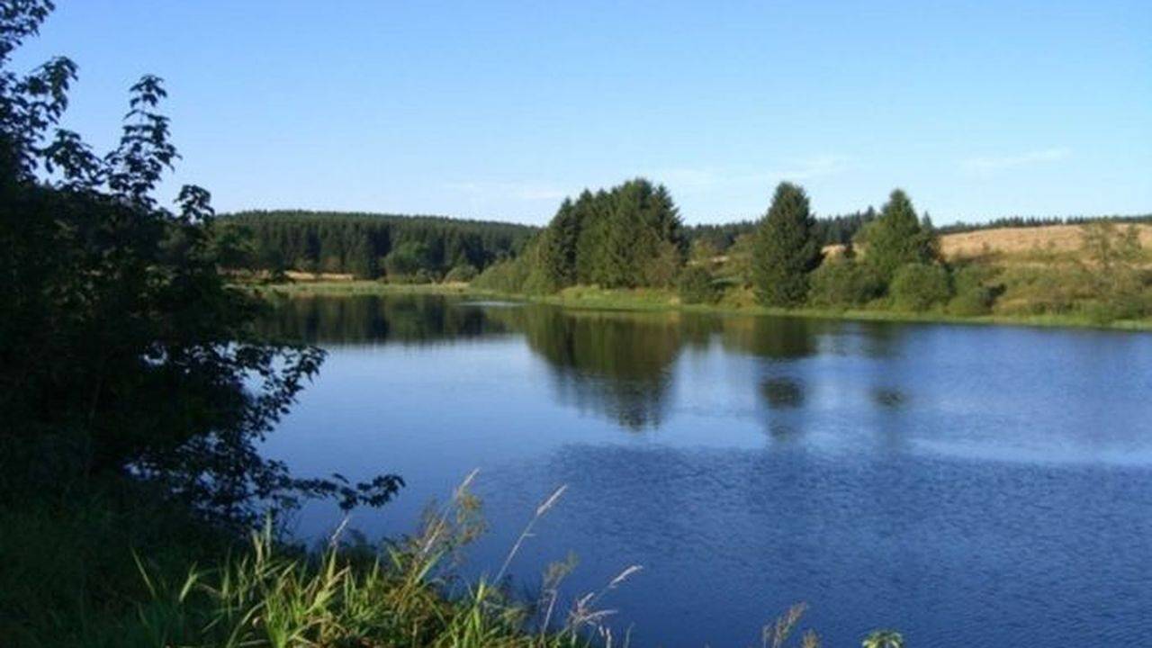 Ganze Ferienwohnung, Ferienwohnung für 3 Personen (42 m²) in Buntenbock in Buntenbock, Harzvorland