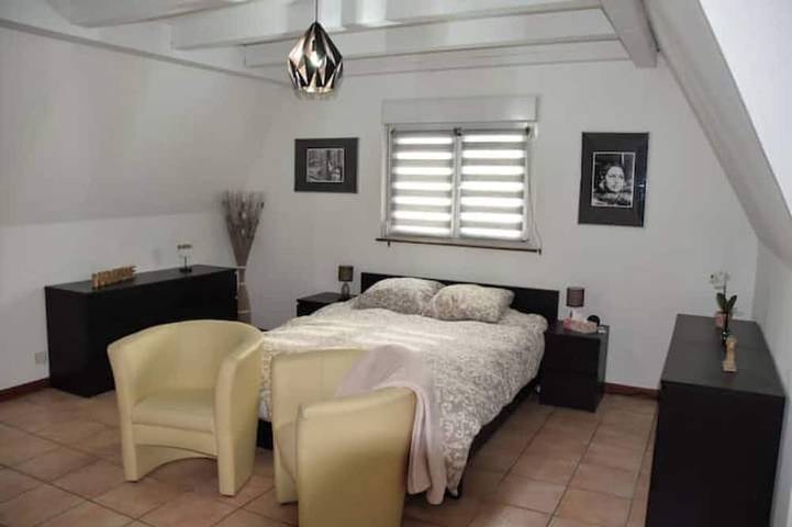 Location de vacances pour 6 personnes, avec piscine et jacuzzi à Rixheim - 4