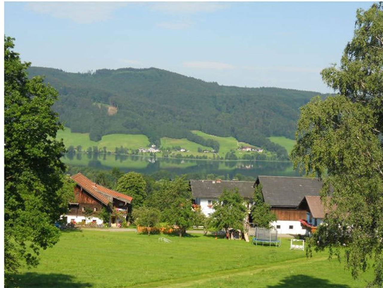 Ganze Ferienwohnung, Handlhof - Ferienwohnung Irrseeblick in Zell am Moos, Irrsee