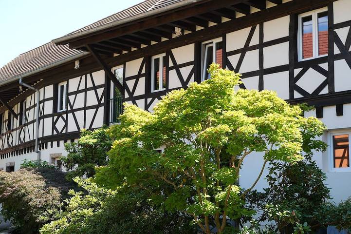 Gîte pour 5 personnes, avec jacuzzi ainsi que jardin et terrasse, animaux acceptés dans Gougenheim