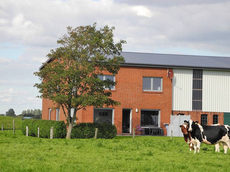 Haus Landglück - 3-Raum-Ferienhaus 411/001 in Oesterdeichstrich, Dithmarschen