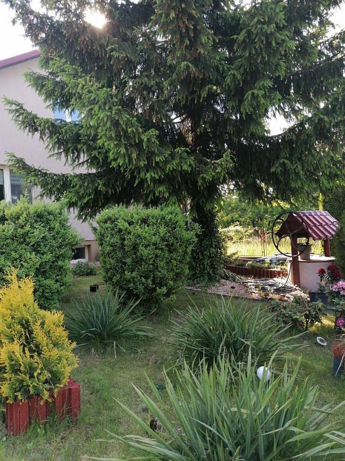 Cały apartament wypoczynkowy, Pokoje Gościnne Sandomingo in Sandomierz, Województwo świętokrzyskie
