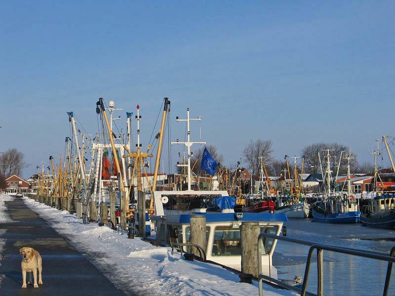 Ganze Ferienwohnung, Seewärts wohnen - 3-Raum-Fewo in Büsum, Dithmarschen