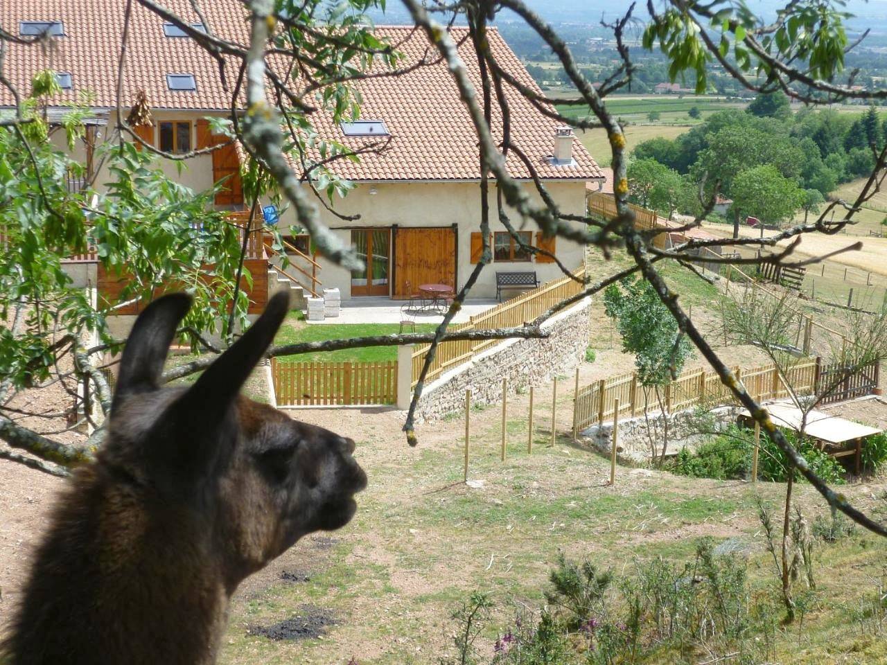 Gîte de la petite Bruyère in Saint-André-d'Apchon, Région de Roanne
