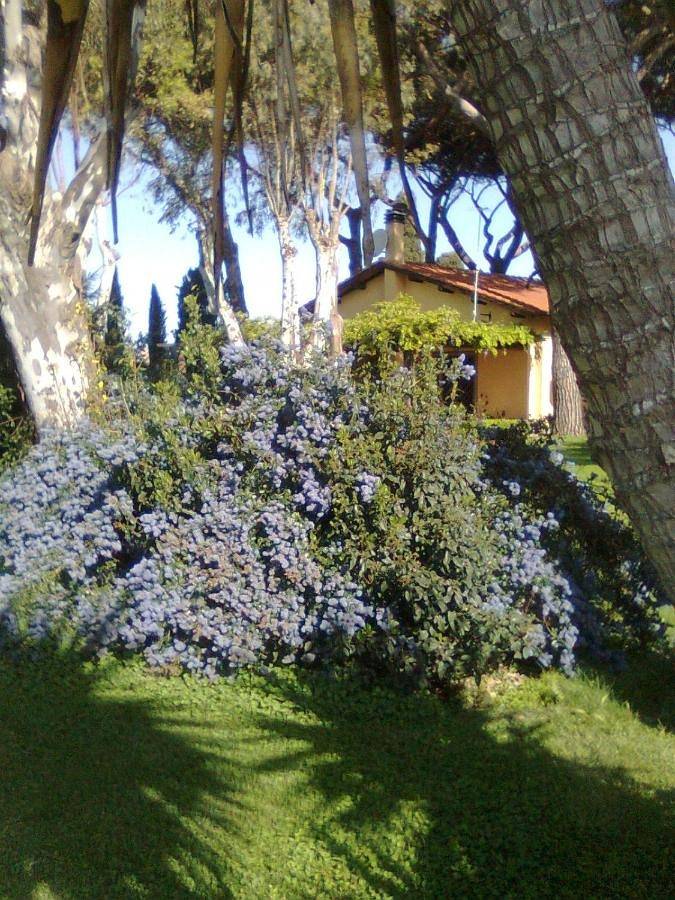 Apartment in Vigna di Valle, Bracciano