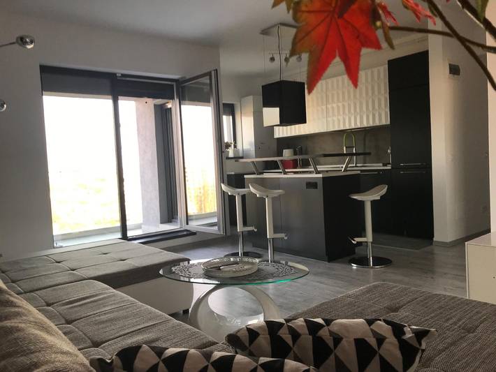 Gîte pour 4 personnes, avec balcon et jardin, animaux acceptés à Bucarest - 2