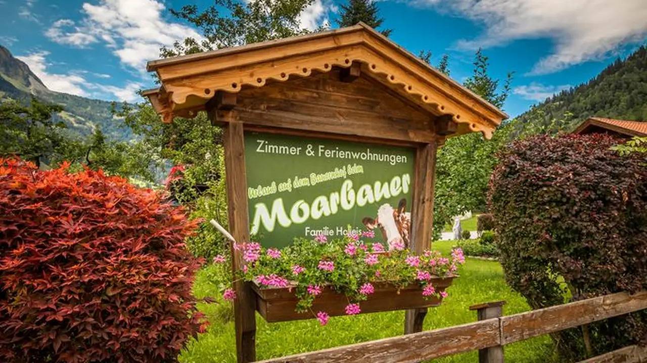 Ganze Ferienwohnung, Ferienwohnung für 3 Personen (45 m²) in Dorfgastein in Dorfgastein, Ski Amadé