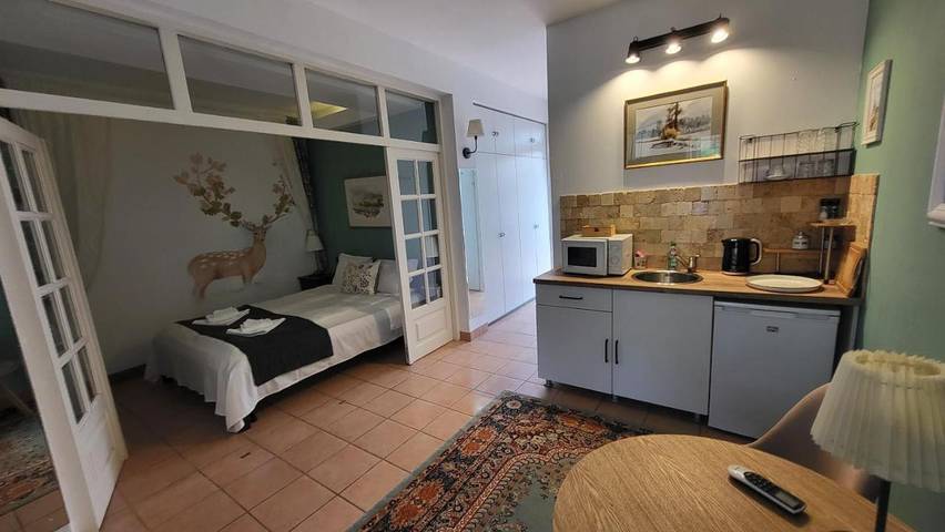 Maison d’hôte pour 3 personnes, avec jardin dans Mureș - 4