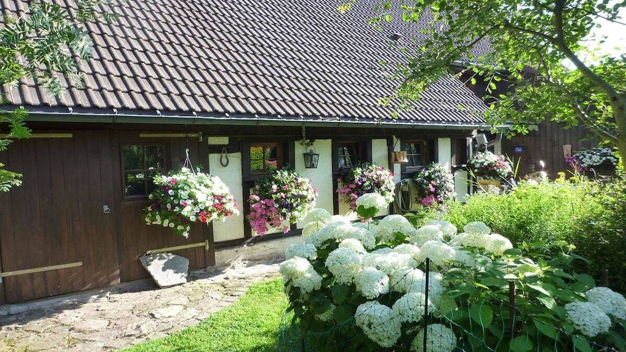 Ferienhaus für 3 Personen (75 m²) in Friedenweiler in Friedenweiler, Südschwarzwald