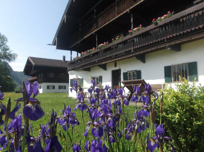 Ganze Wohnung, Trojerhof - Ferienwohnung Ins Grüne (36qm) in Kiefersfelden, Bayerische Alpen