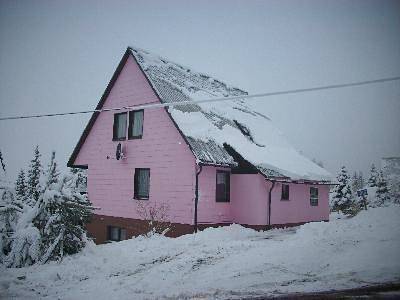 Ferienhaus für 5 Personen, mit Garten und Sauna sowie Terrasse, mit Haustier am Rennsteig - 2