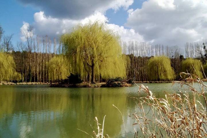 Camping pour 2 personnes dans Île de France