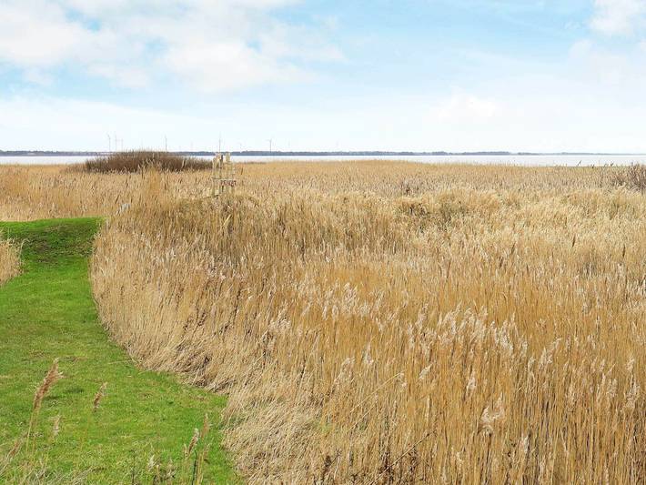 Ferienhaus für 6 Personen, mit Terrasse, mit Haustier in Nissum Fjord - 3