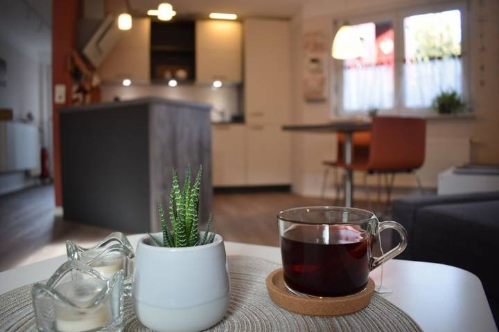 Ferienwohnung für 3 Personen, mit Terrasse in Kehl - 4