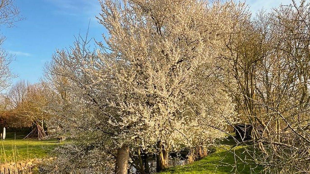 Ferienhaus für 4 Personen (98 m²) in Kenz-Küstrow in Kenz-Küstrow, Vorpommern-Rügen