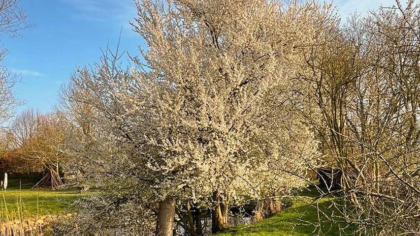 Ferienhaus für 5 Personen, mit Garten in Kenz-Küstrow - 4