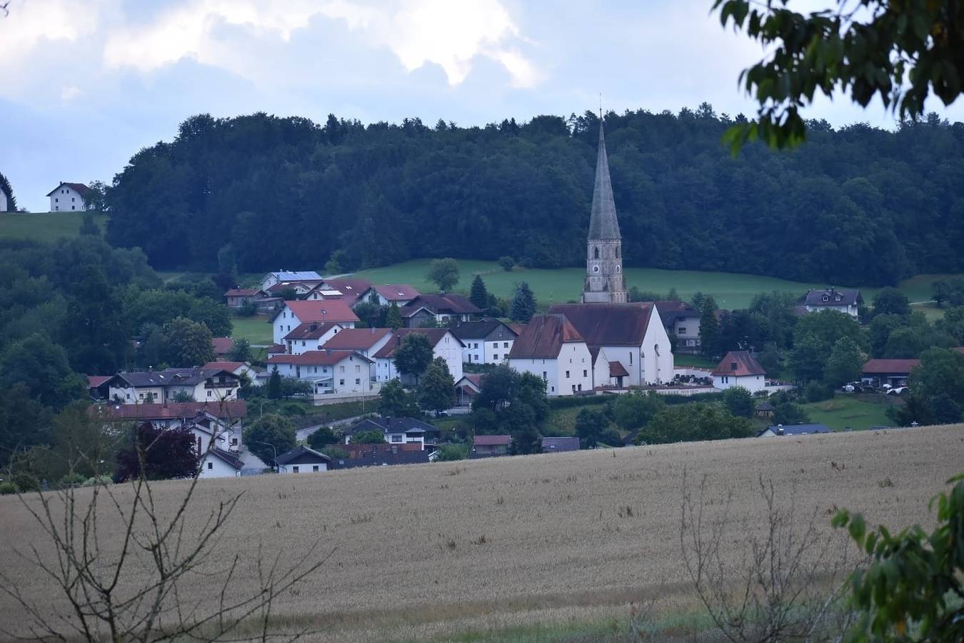 Ganze Ferienwohnung, Zum Gänseglück in Reut, Ostbayern