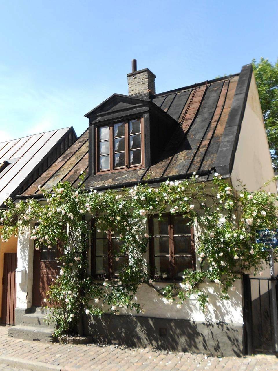 Ganze Wohnung, Townhouse Lund in Lund, Schwedische Ostsee