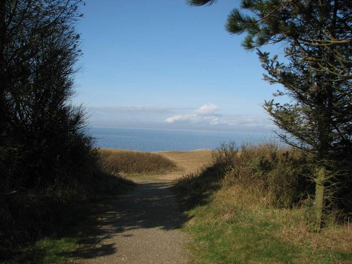 Ferienhaus für 6 Personen, mit Terrasse und Sauna, kinderfreundlich in Skaven Strand - 3