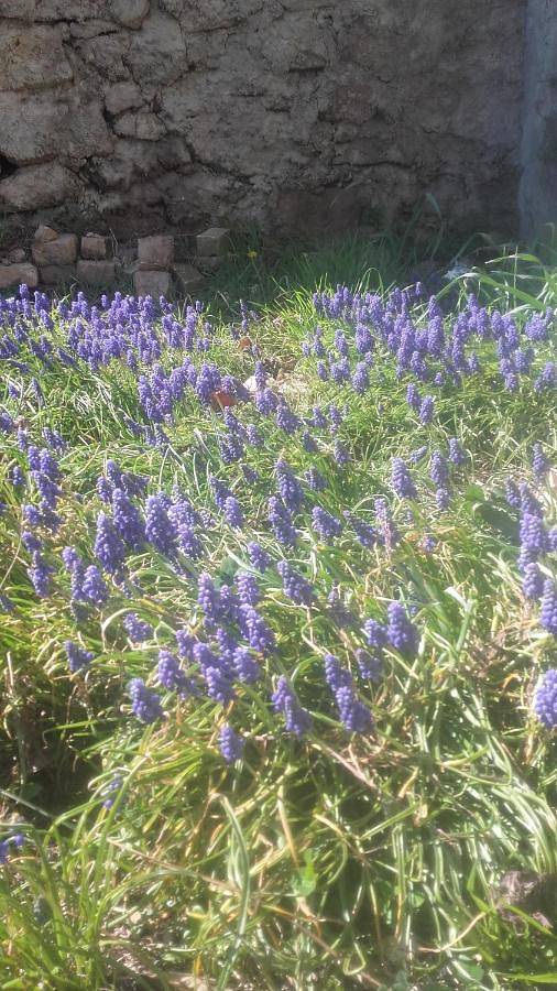 Location de vacances pour 4 personnes, avec jardin ainsi que vue et piscine à Bordezac - 4