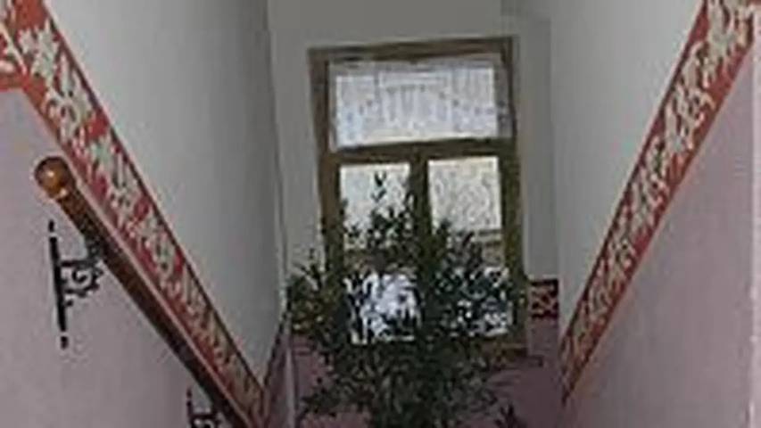 Ferienwohnung für 2 Personen, mit Haustier in Loschwitz