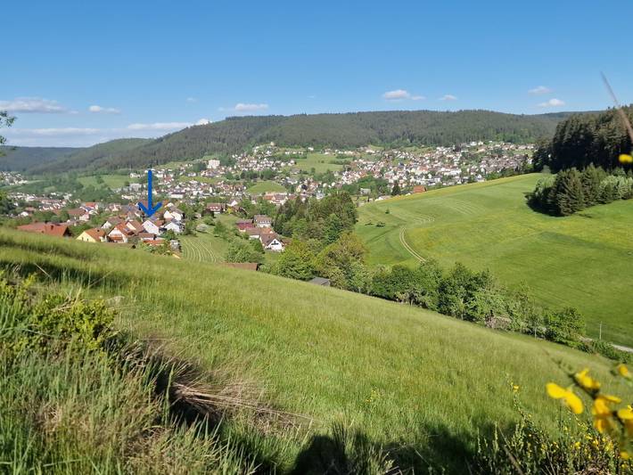 Ferienwohnung für 4 Personen, mit Balkon und Garten sowie Sauna in Baiersbronn