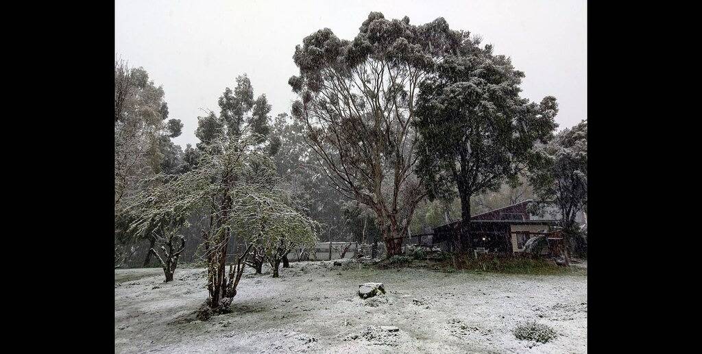 Top of the Otways the Nature Lodge in Wye River, Colac Otway Shire