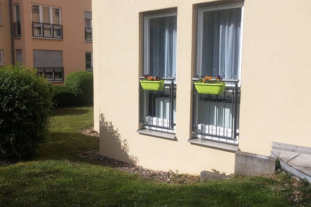 Ganze Wohnung, Terrassenwohnung am Großen Garten. Dresden Altstadt. in Altstadt (Dresden), Dresden
