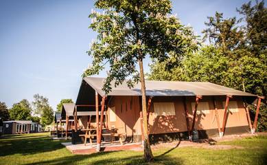 Glamping voor 5 Personen in Bladel, Noord-Brabant, Afbeelding 1