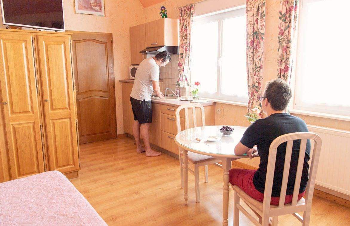 Studio entier, Gite Rose des vignes in Orschwiller, Région de Sélestat-Erstein
