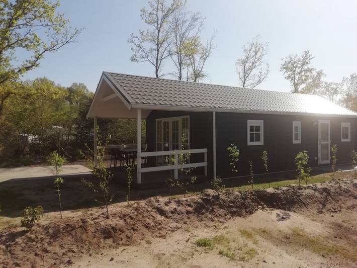 Chalet voor 4 personen, met huisdier in Hardenberg