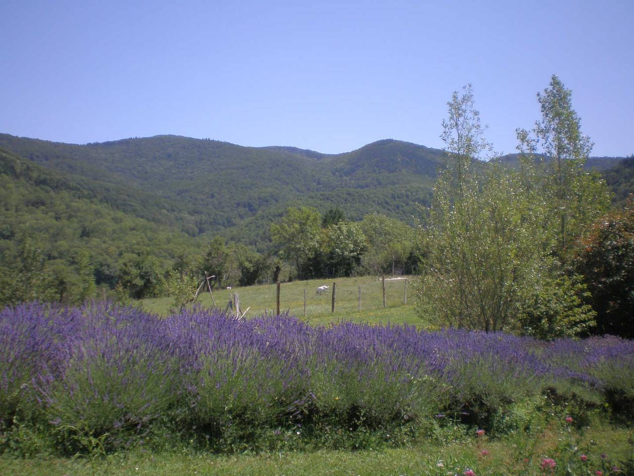 Gîte du Mouscaillou in Escoussens, Région de Castres