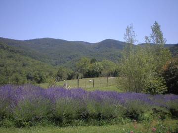 Cottage for 4 People in Escoussens, Tarn, Photo 2