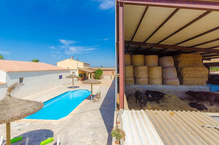 Holiday home for 4 people, with pool - 1