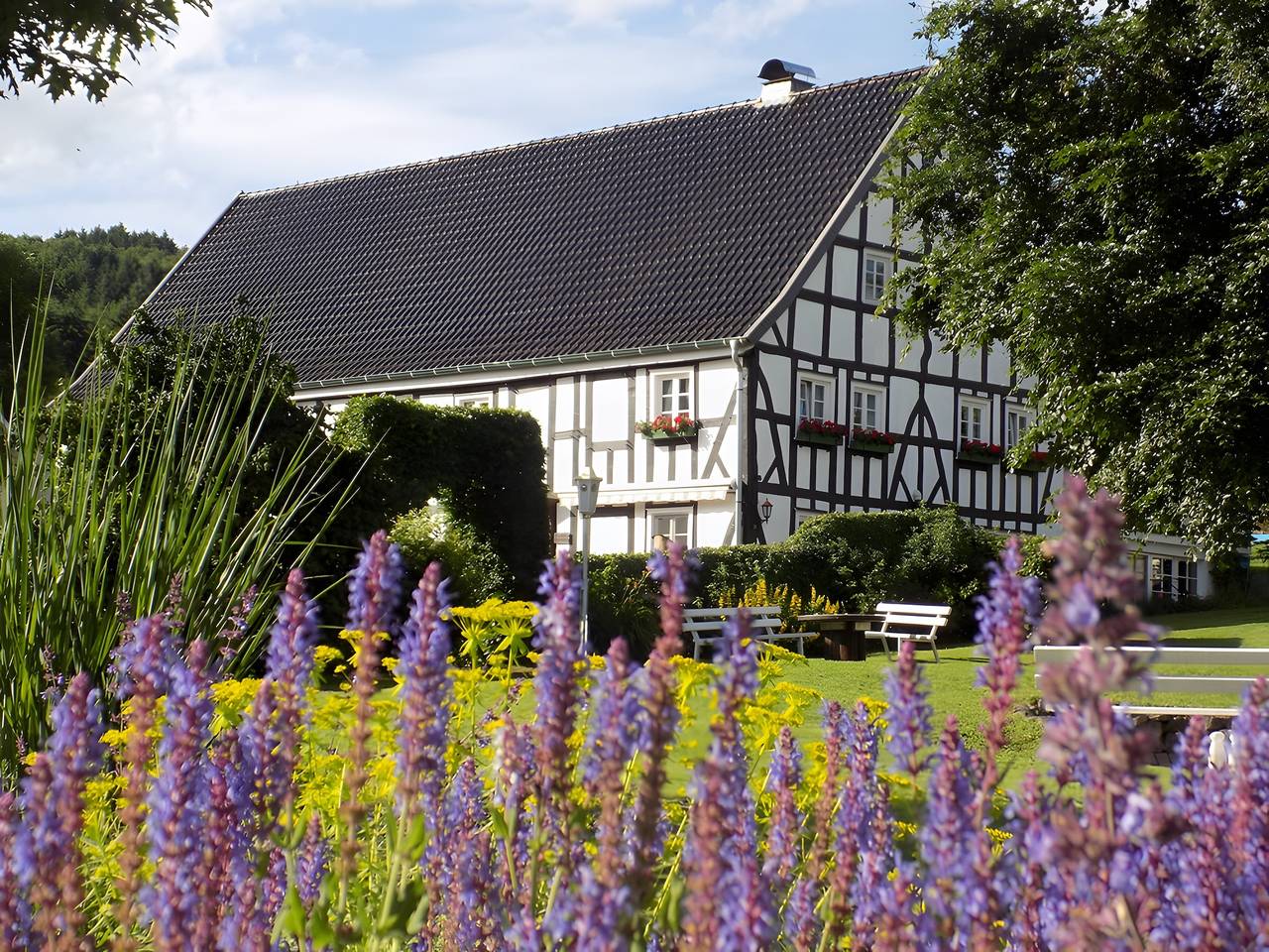 Ganze Wohnung, Ferienwohnung 'Magnolie' mit Privatterrasse, Gemeinschaftsgarten und Wi-Fi in Finnentrop, Sauerland