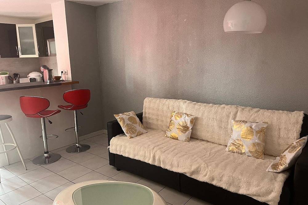 Entire apartment, Rent T2 for 2/4 persons in Saint-Laurent-du-Var, Cannes region