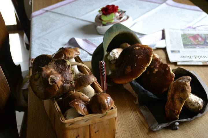 Ganze Ferienwohnung, Erlebnispension Zum Wanderer Sepp - Ferienwohnung Heidi in Arnbruck, Ostbayern