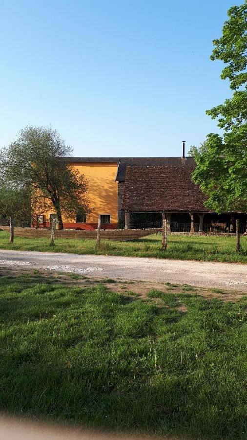 Gîte pour 4 personnes, avec vue et jardin à Saint-Amand-en-Puisaye - 2