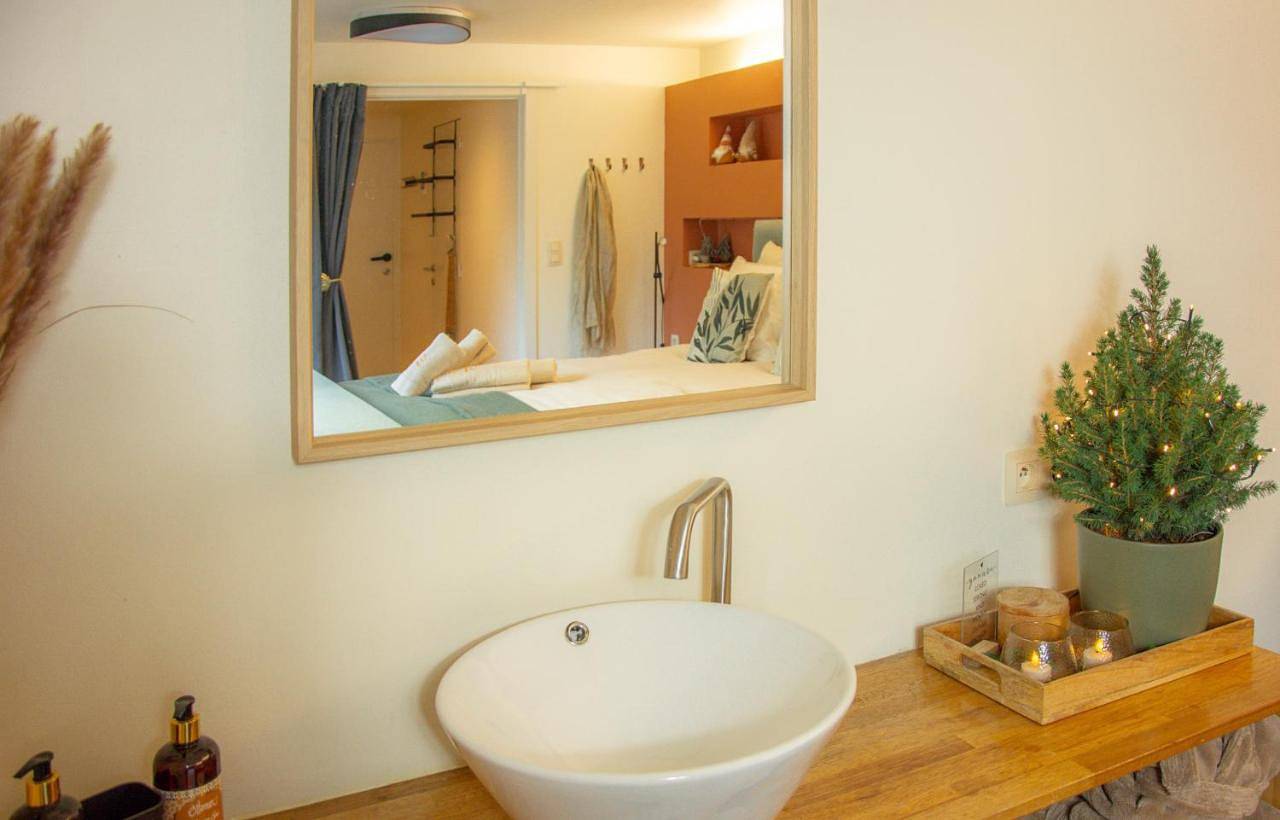 Double Room with Private Bathroom in Ostdunkerque-Bains, Coxyde
