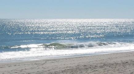 Log Cabin for 5 People in Chatham (MA), Cape Cod, Photo 2