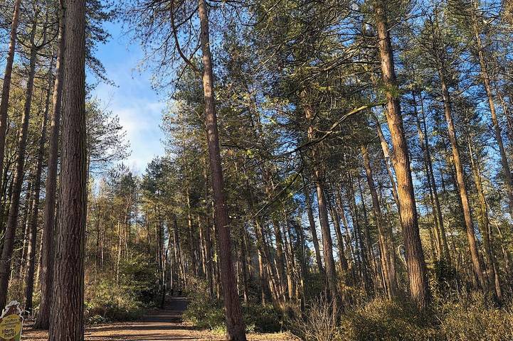 Log cabin for 4 people, with garden in Delamere
