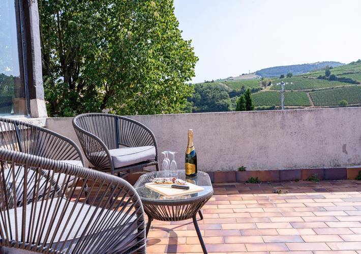 Location de vacances pour 12 personnes, avec vue ainsi que jardin et piscine dans Davayé - 3